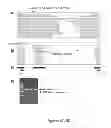 Fig. 09 - Structural mutations in titin cause dilated cardiomyopathy