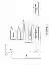 Fig. 02 - GENETIC POLYMORPHISMS ASSOCIATED WITH ALZHEIMER'S DISEASE, METHODS OF DETECTION AND USES THEREOF