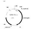 Fig. 02 - Process for the Production of Fine Chemicals