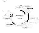 Fig. 03 - Process for the Production of Fine Chemicals