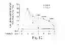 Fig. 04 - METHODS AND COMPOSITIONS FOR REGULATING IRON HOMEOSTASIS BY MODULATION OF BMP-6