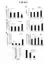 Fig. 06 - METHODS AND COMPOSITIONS FOR REGULATING IRON HOMEOSTASIS BY MODULATION OF BMP-6