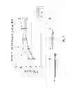 Fig. 09 - Sp35 Antibodies and Uses Thereof