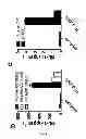 Fig. 07 - Method for the treatment of acne by administering IL-1β antibody