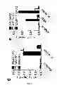 Fig. 08 - Method for the treatment of acne by administering IL-1β antibody