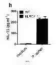 Fig. 10 - Method for the treatment of acne by administering IL-1β antibody