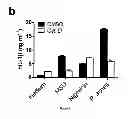 Fig. 12 - Method for the treatment of acne by administering IL-1β antibody