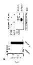 Fig. 13 - Method for the treatment of acne by administering IL-1β antibody