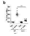 Fig. 18 - Method for the treatment of acne by administering IL-1β antibody