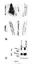 Fig. 19 - Method for the treatment of acne by administering IL-1β antibody