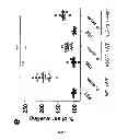 Fig. 20 - Method for the treatment of acne by administering IL-1β antibody