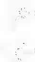 Fig. 203 - Bio-orthogonal drug activation