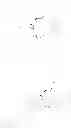 Fig. 207 - Bio-orthogonal drug activation