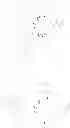 Fig. 238 - Bio-orthogonal drug activation