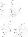 Fig. 81 - Bio-orthogonal drug activation
