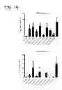 Fig. 02 - Aquaporin-4 peptide compositions and methods of use thereof