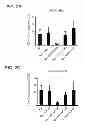 Fig. 08 - Aquaporin-4 peptide compositions and methods of use thereof