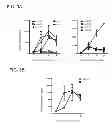 Fig. 09 - Aquaporin-4 peptide compositions and methods of use thereof