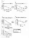 Fig. 04 - TMEM22 PEPTIDES AND VACCINES INCLUDING THE SAME
