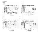 Fig. 08 - TMEM22 PEPTIDES AND VACCINES INCLUDING THE SAME