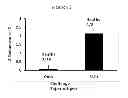 Fig. 03 - Compositions and methods for inducing immune responses against bacteria in the genus 