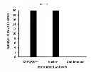 Fig. 07 - Compositions and methods for inducing immune responses against bacteria in the genus 
