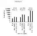 Fig. 14 - Compositions and methods for inducing immune responses against bacteria in the genus 
