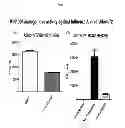 Fig. 11 - Anti-viral compounds