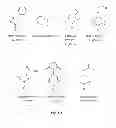 Fig. 03 - INTRAESOPHAGEAL ADMINISTRATION OF TARGETED NITROXIDE AGENTS FOR PROTECTION AGAINST IONIZING IRRADIATION-INDUCED ESOPHAGITIS