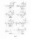 Fig. 04 - INTRAESOPHAGEAL ADMINISTRATION OF TARGETED NITROXIDE AGENTS FOR PROTECTION AGAINST IONIZING IRRADIATION-INDUCED ESOPHAGITIS