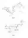 Fig. 12 - INTRAESOPHAGEAL ADMINISTRATION OF TARGETED NITROXIDE AGENTS FOR PROTECTION AGAINST IONIZING IRRADIATION-INDUCED ESOPHAGITIS