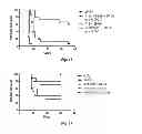 Fig. 20 - INTRAESOPHAGEAL ADMINISTRATION OF TARGETED NITROXIDE AGENTS FOR PROTECTION AGAINST IONIZING IRRADIATION-INDUCED ESOPHAGITIS