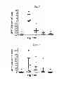 Fig. 22 - INTRAESOPHAGEAL ADMINISTRATION OF TARGETED NITROXIDE AGENTS FOR PROTECTION AGAINST IONIZING IRRADIATION-INDUCED ESOPHAGITIS