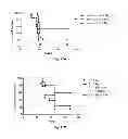 Fig. 26 - INTRAESOPHAGEAL ADMINISTRATION OF TARGETED NITROXIDE AGENTS FOR PROTECTION AGAINST IONIZING IRRADIATION-INDUCED ESOPHAGITIS