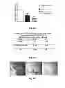 Fig. 30 - INTRAESOPHAGEAL ADMINISTRATION OF TARGETED NITROXIDE AGENTS FOR PROTECTION AGAINST IONIZING IRRADIATION-INDUCED ESOPHAGITIS