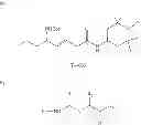 Fig. 41 - INTRAESOPHAGEAL ADMINISTRATION OF TARGETED NITROXIDE AGENTS FOR PROTECTION AGAINST IONIZING IRRADIATION-INDUCED ESOPHAGITIS