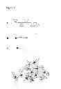 Fig. 03 - CYCLODEXTRIN-BASED MATERIALS COMPOSITIONS AND USES RELATED THERETO