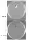 Fig. 14 - MICROBIAL GROWTH FACTORS