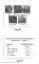 Fig. 05 - Nanoparticle and polymer formulations for thyroid hormone analogs, antagonists, and formulations thereof