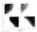 Fig. 10 - Nanoparticle and polymer formulations for thyroid hormone analogs, antagonists, and formulations thereof