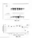 Fig. 12 - Nanoparticle and polymer formulations for thyroid hormone analogs, antagonists, and formulations thereof