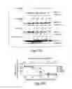Fig. 35 - Nanoparticle and polymer formulations for thyroid hormone analogs, antagonists, and formulations thereof