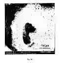 Fig. 10 - Core-shell microspheres