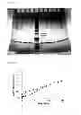 Fig. 10 - BIODEGRADABLE, SEMI-CRYSTALLINE, PHASE SEPARATED, THERMOPLASTIC MULTI BLOCK COPOLYMERS FOR CONTROLLED RELEASE OF BIOLOGICALLY ACTIVE COMPOUNDS