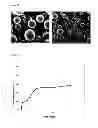 Fig. 12 - BIODEGRADABLE, SEMI-CRYSTALLINE, PHASE SEPARATED, THERMOPLASTIC MULTI BLOCK COPOLYMERS FOR CONTROLLED RELEASE OF BIOLOGICALLY ACTIVE COMPOUNDS