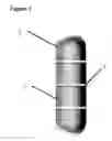 Fig. 02 - Enteric active substance delivery