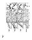 Fig. 02 - USE OF TGF-BETA ANTAGONISTS TO TREAT INFANTS AT RISK OF DEVELOPING BRONCHOPULMONARY DYSPLASIA