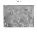 Fig. 06 - Active agent loaded uniform, rigid, spherical, nanoporous calcium phosphate particles and methods of making and using the same