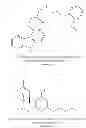 Fig. 43 - Active agent loaded uniform, rigid, spherical, nanoporous calcium phosphate particles and methods of making and using the same