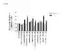 Fig. 04 - Pharmaceutical combination comprising a CIP2A silencing agent for use in the treatment of a hyperproliferative disorder, preferably one with impaired p53 function